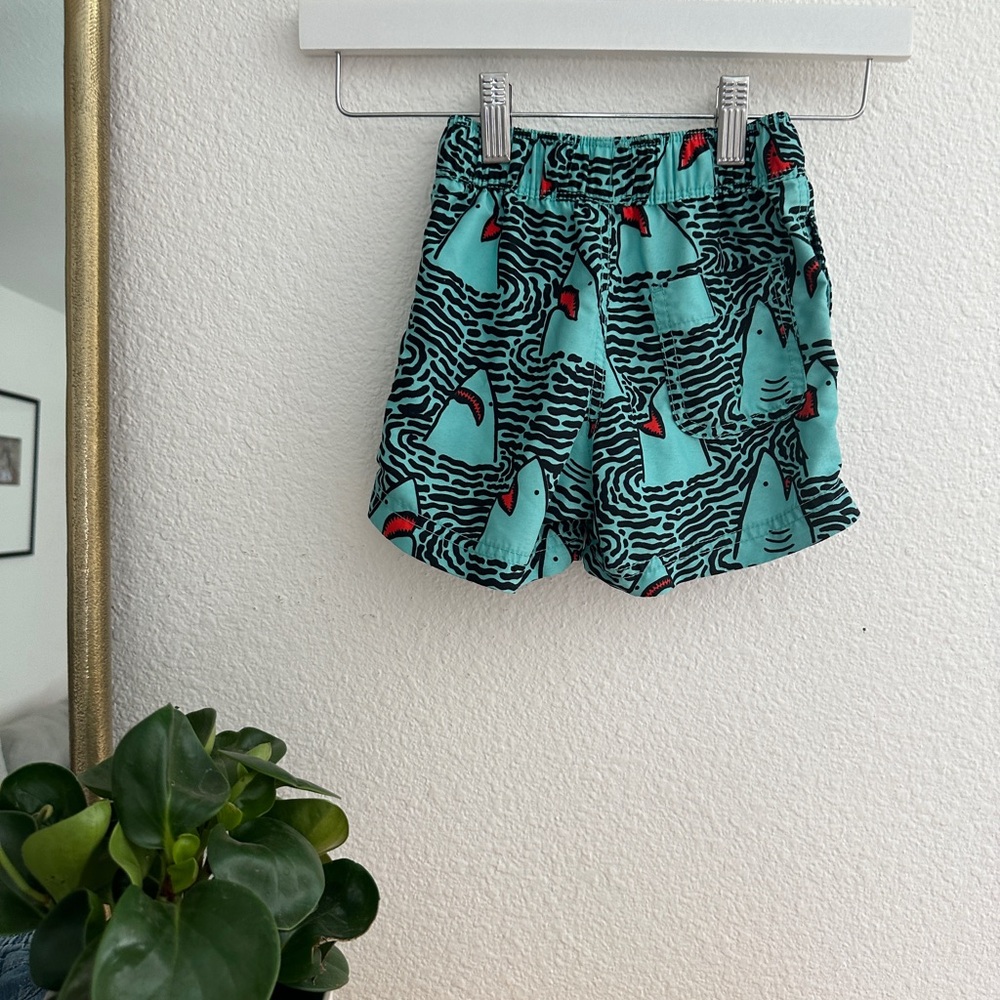 Hanna Andersson Kids Swim Trunks - Teal and Black